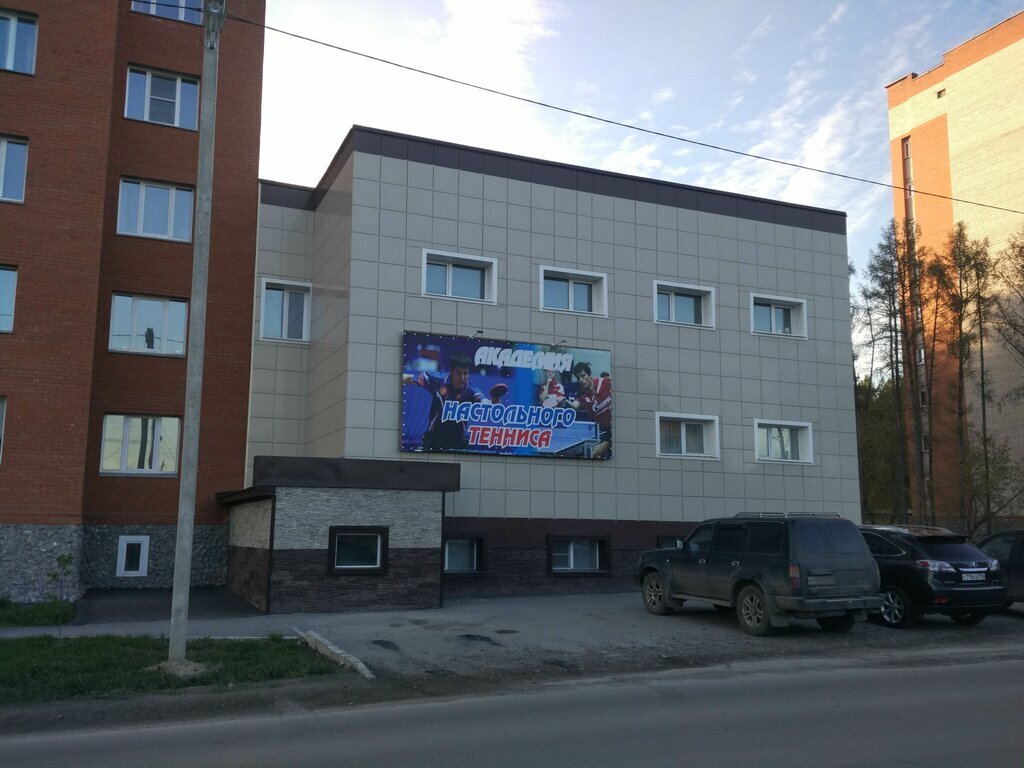 Академия Тениса (2)